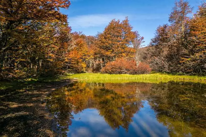Bariloche no verão: descubra o que fazer na cidade sem a neve