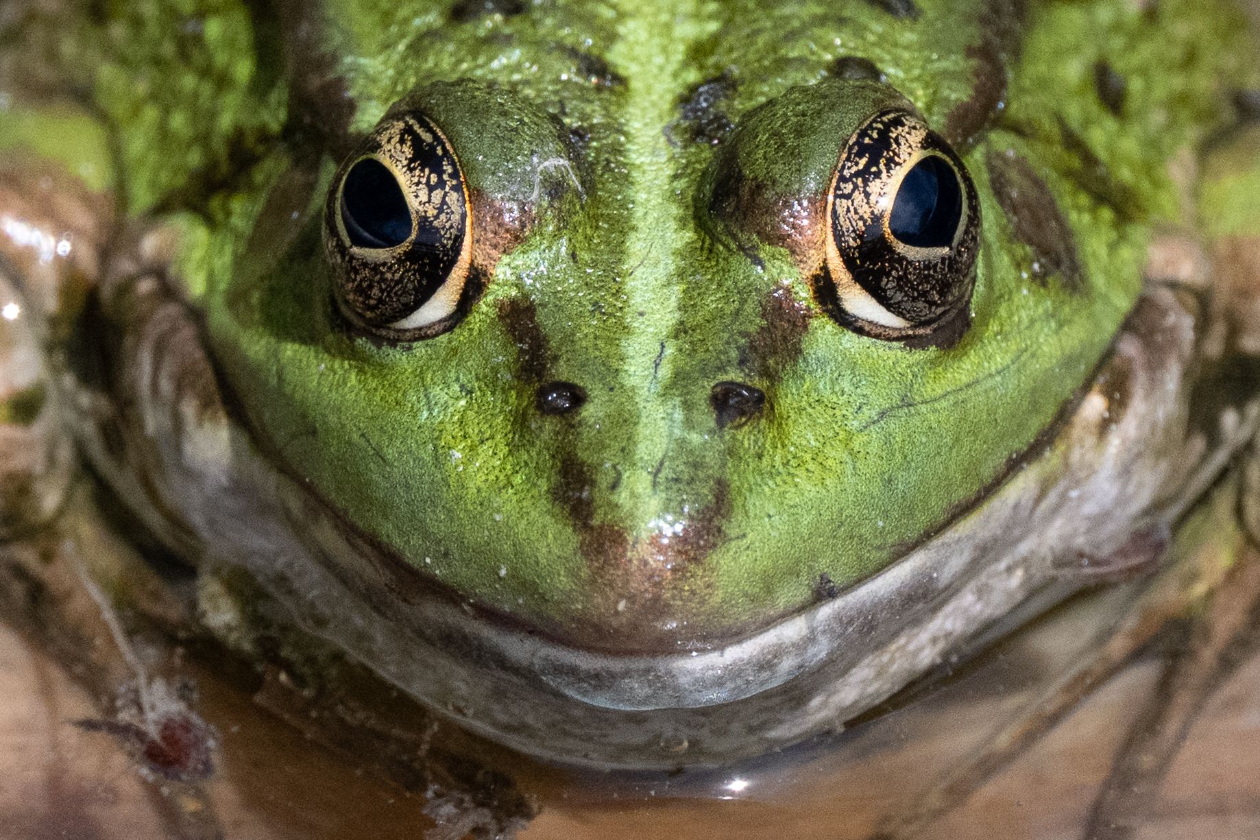Agro que você não vê: os negócios mais inusitados do campo brasileiro
