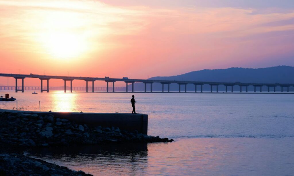 A poluição transformou grandes áreas da baía em um ambiente com baixo oxigênio, afetando drasticamente a vida marinha