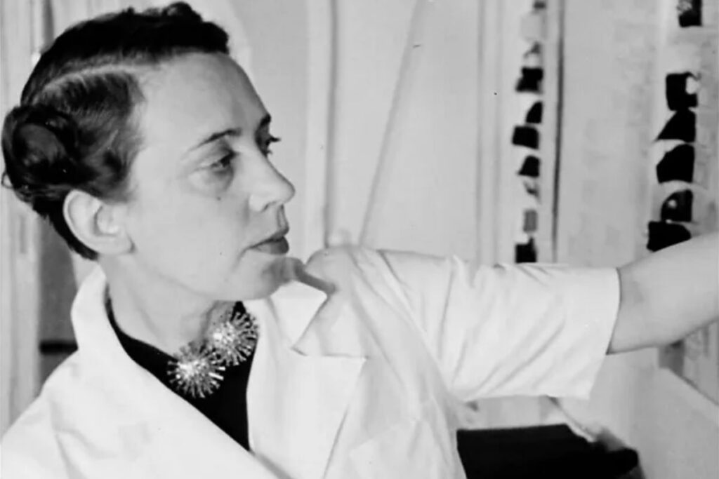 Schiaparelli via a moda como uma forma de arte