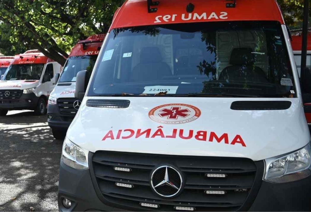 Saiba o que fazer se você testemunhar um atropelamento com fuga