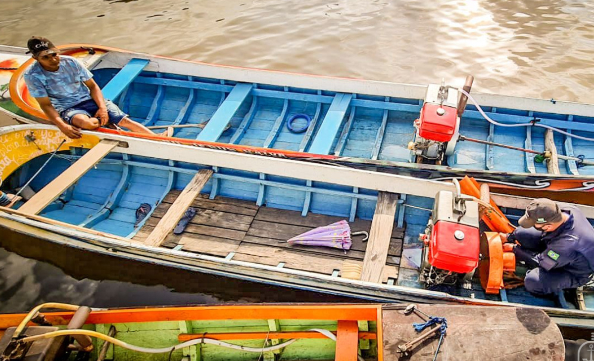 Escalpelamento: lei não impede novas vítimas na Amazônia